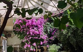 Vatican Fairytale Garden